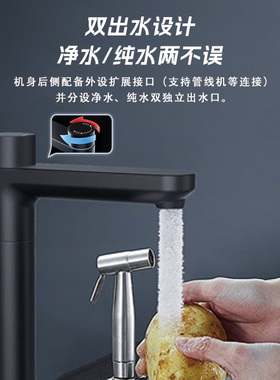 朴源2000G反渗透净水器RO纯水机厨下净水机双出水外接饮水机