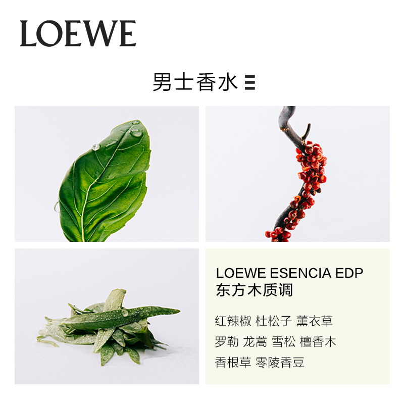 【吴磊推荐】LOEWE/罗意威黑色圆舞曲男士香水淡香水【520礼物】