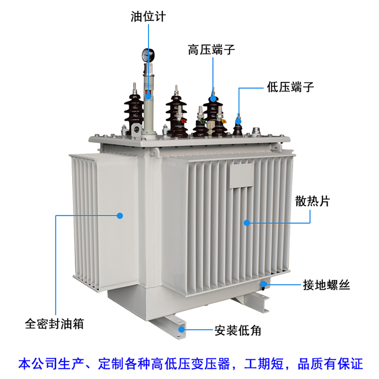 S9-100KVA油浸式电力变压器10/11KV变415V小区工地商城配电变压器 - 图0