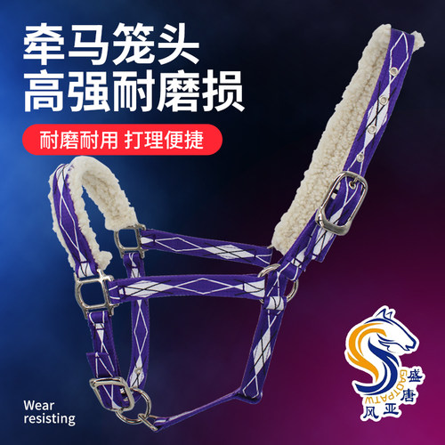 彩色印花笼头 马龙头马嚼子全套用品马具大小矮马笼头马术用品 - 图1