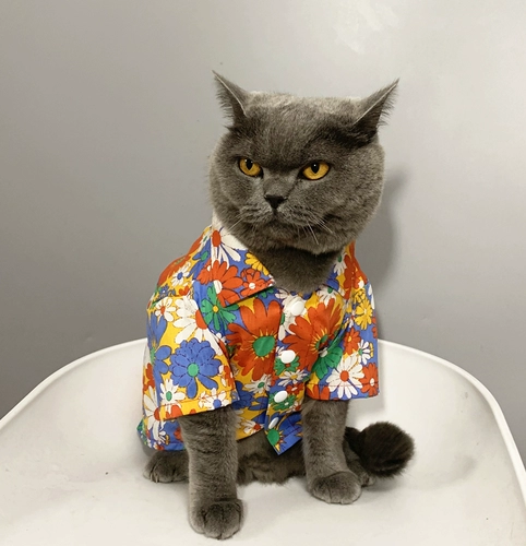 Pet Cat Barbarian маленькая щенка одежда для кошачья одежда лето тонкая анти -фар -рубашка солнце