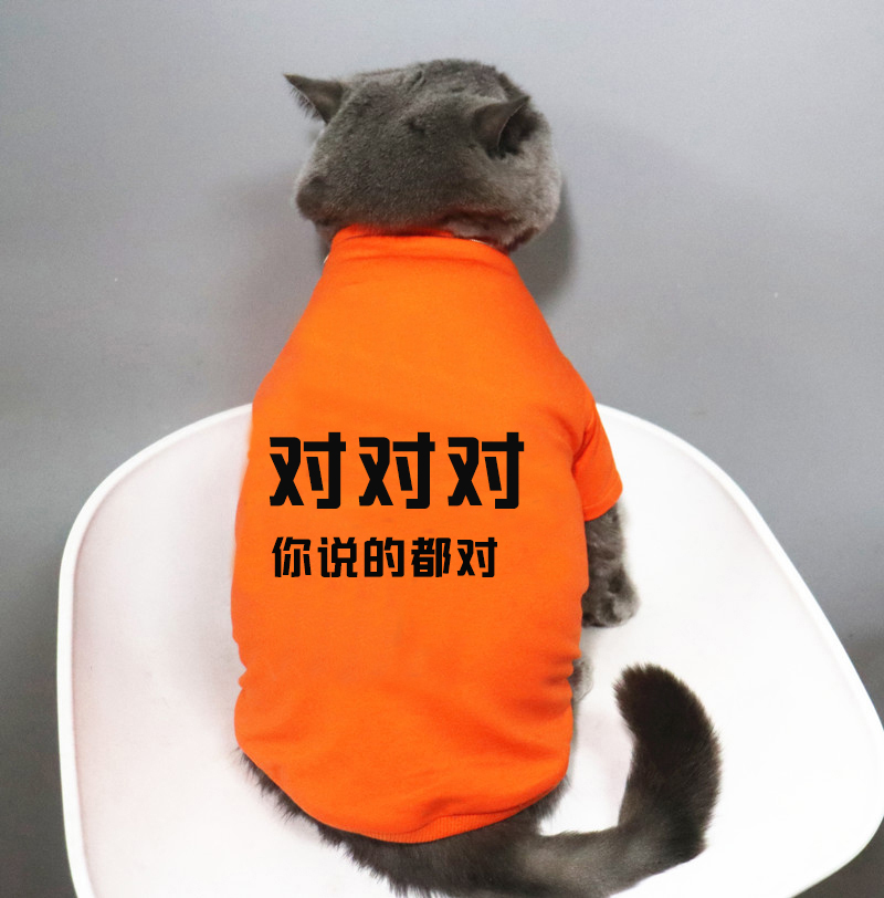 宠物猫咪比熊卫衣小狗衣服猫咪衣服春夏薄款T恤防掉毛你说的都对