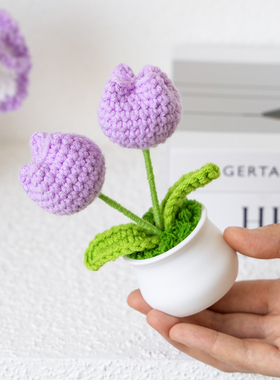 永生花针织花送朋友生日礼品摆件