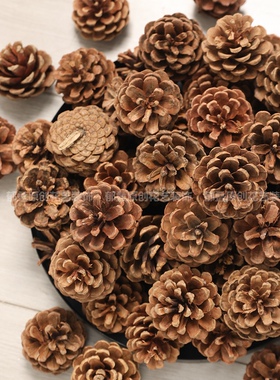松果装饰松塔橡果干花手工diy