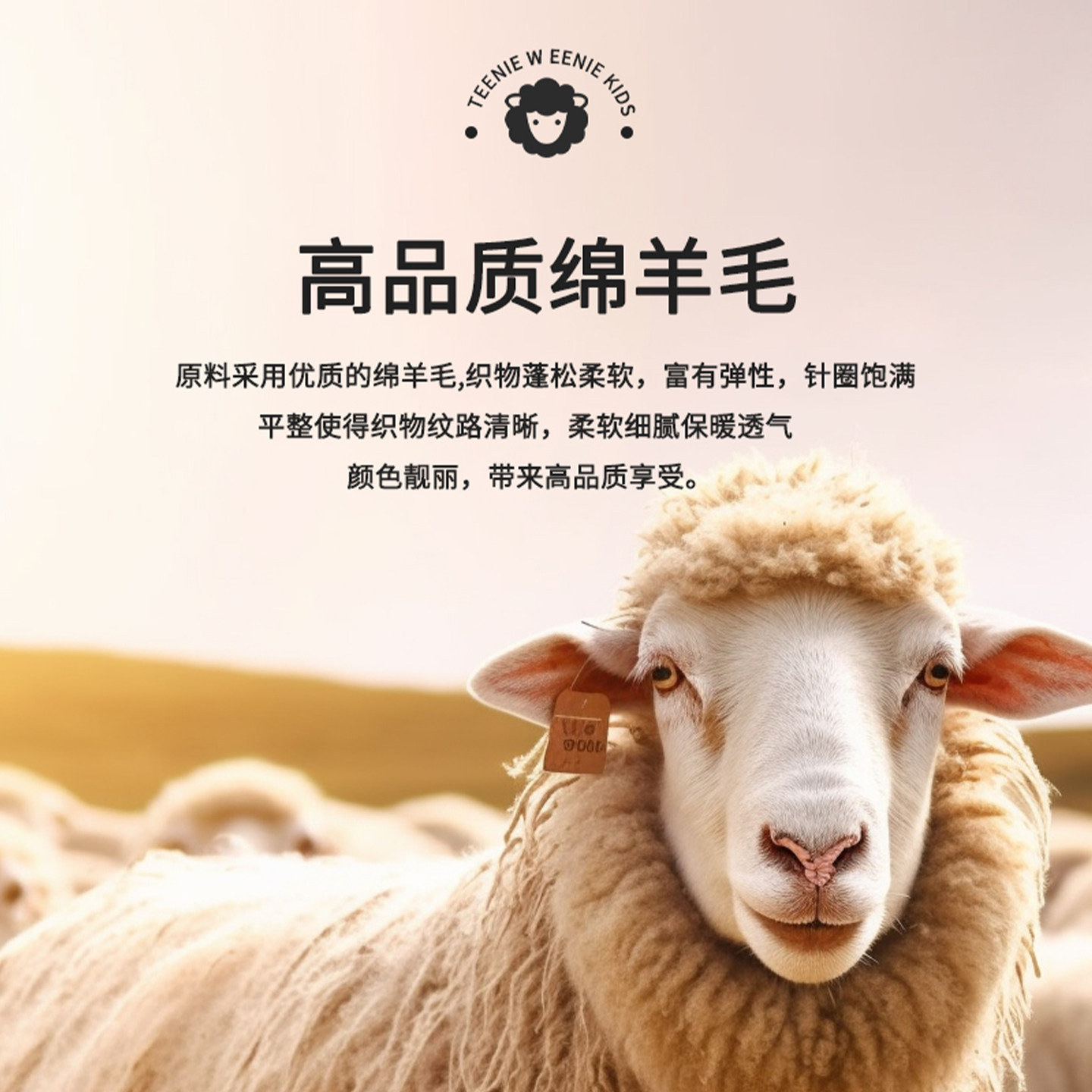 双针加厚加绒羊毛袜子女冬季保暖深棕咖色配勃肯中筒新款2025爆款,淘宝优惠券,粉丝福利购,淘宝优惠卷