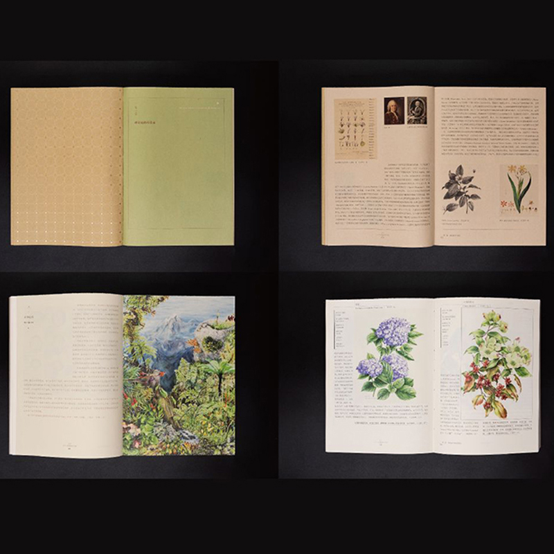 【2019中国好书】嘉卉 百年中国植物科学画(典藏版) 植物手绘图鉴大百科 植物详解书 中国植物志中国植物图鉴花卉手绘图鉴花草物语
