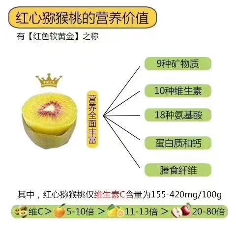 正宗赣南红心猕猴桃新鲜当季江西省赣州市寻乌现摘5斤整箱奇异果 - 图3