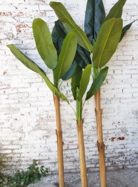 芭蕉树树皮香蕉仿真装饰材料
