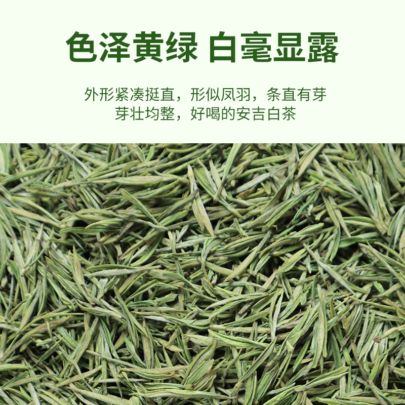 正宗安吉白茶2022新白茶明前特级茶叶浓香型嫩芽高山绿茶罐装