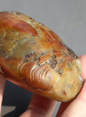 放漏了方言和田玉老熟特色聚橘红油皮黄沁籽料巧色山水把件摆件A8