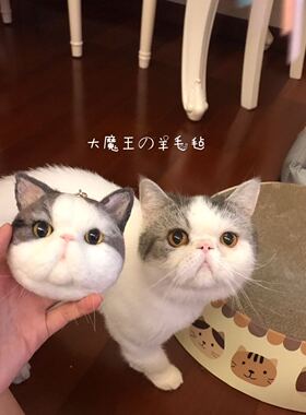 材料包手工DIY仿真宠物亲手制作