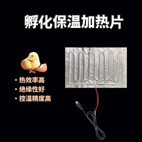 自制水床孵化器专用加热垫配件养殖保温加热片自动控温电热板热片 - 图2