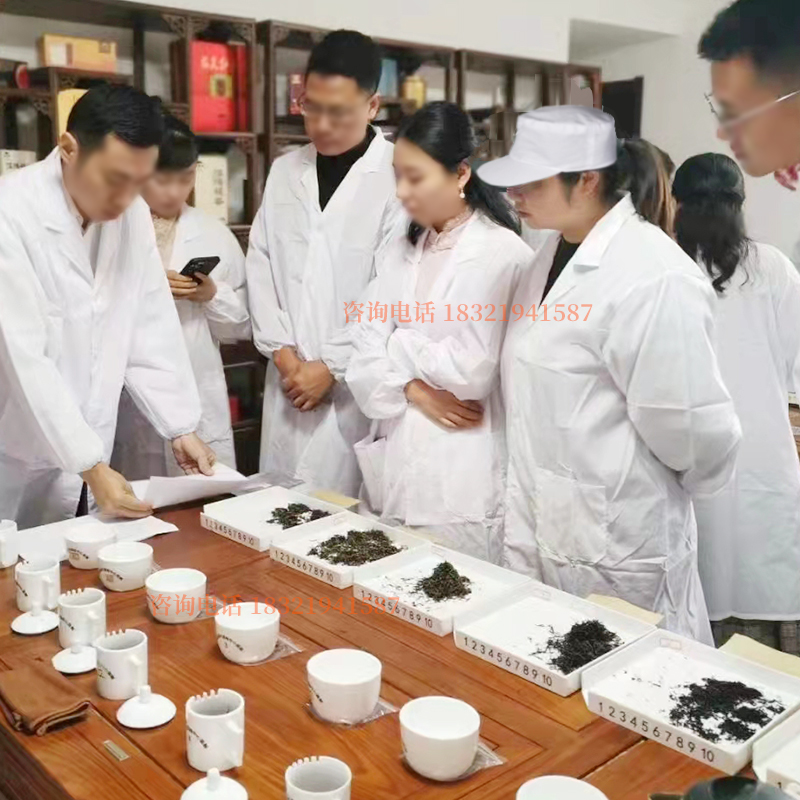 茶叶审评服装定制白大褂长袖评审工作服茶厂实验室评茶员斗茶比赛