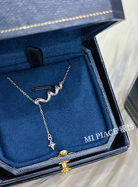 蛇形闪耀流苏纯银项链女