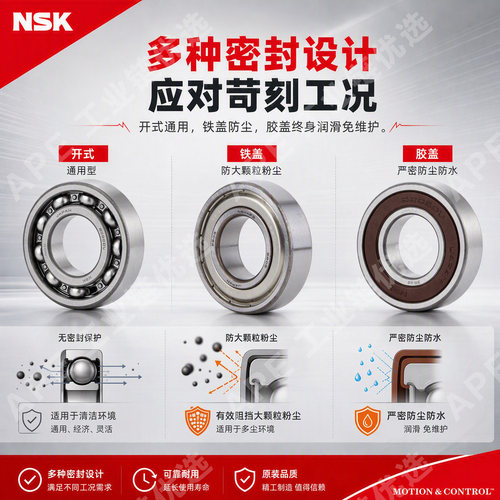 进口NSK轴承6300 6301 6302 6303 6304 6305 ZZ RS  DDU  APE C3 - 图2