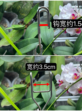 【乙款】红陶盆挂钩蝴蝶兰石斛花盆挂钩多肉盆挂钩网格片花盆挂钩