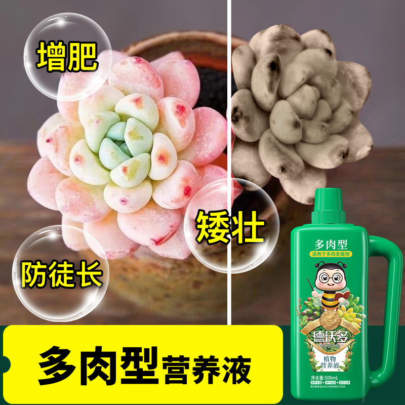 多肉营养液专用肥花肥料植物盆栽水溶肥通用液体肥增色剂生根上色-图1