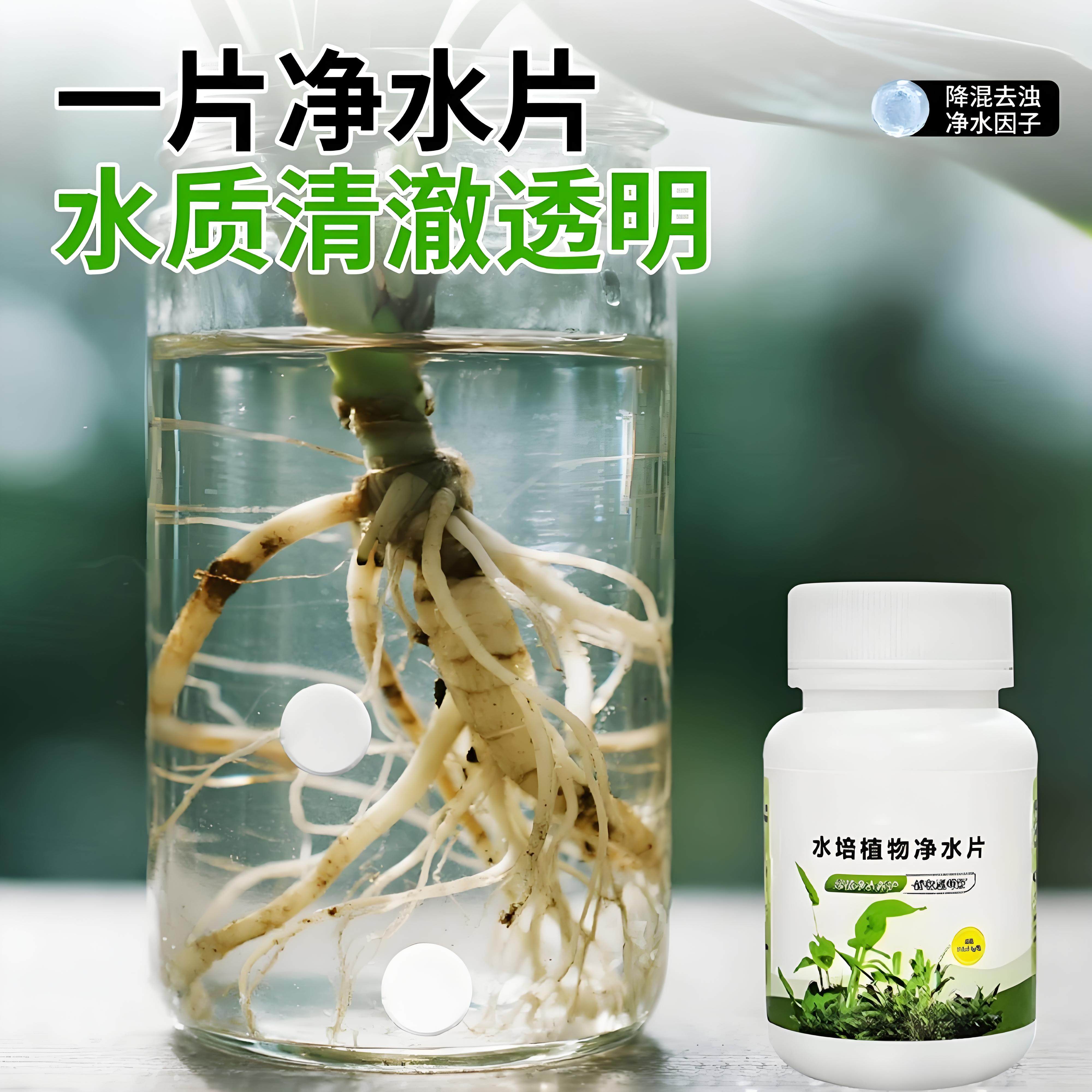 水培植物净水片专用碗莲荷花富贵竹鲜花保鲜鱼缸乌龟除臭杀菌消毒,淘宝优惠券,粉丝福利购,淘宝优惠卷