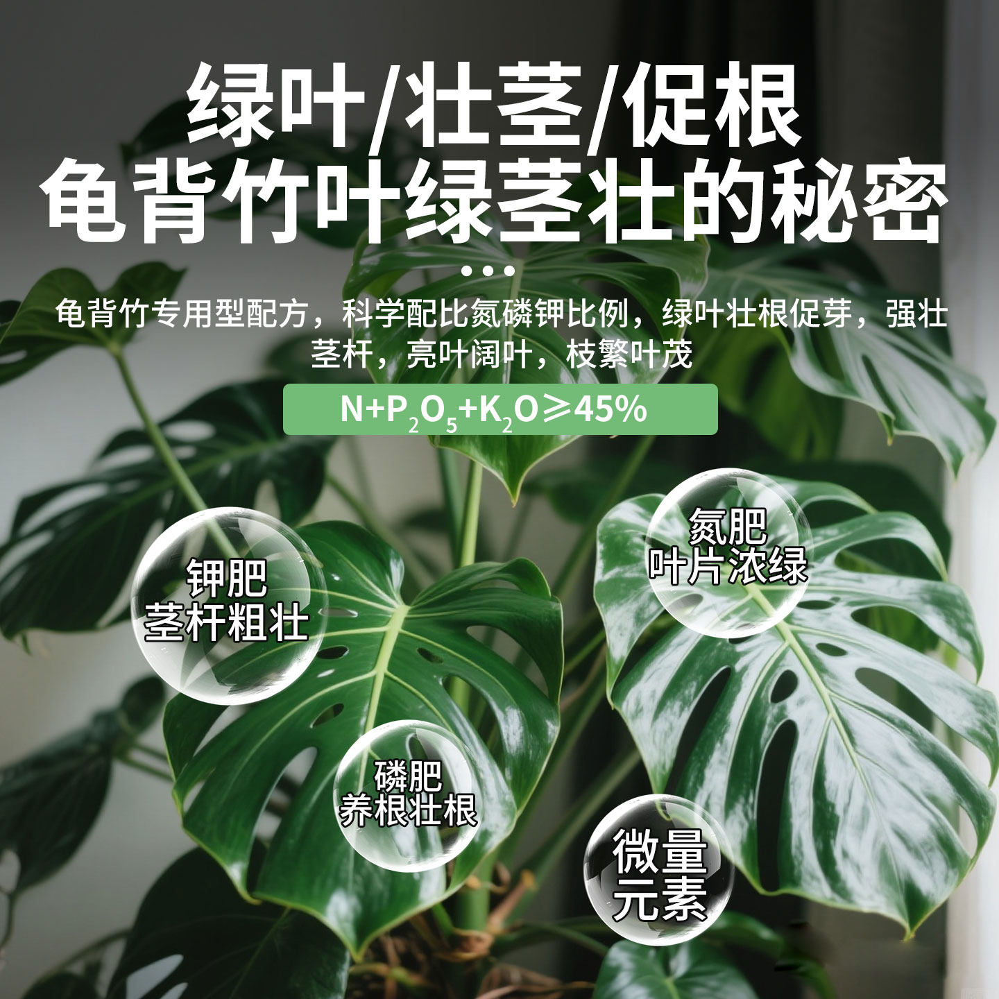 龟背竹专用肥缓释肥料营养液大叶品种客厅大盆栽黄叶促绿叶专用土,淘宝优惠券,粉丝福利购,淘宝优惠卷