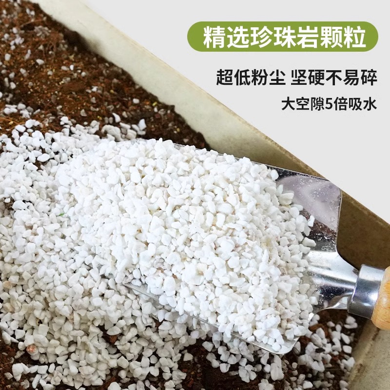 珍珠岩大颗粒养花通用营养土铺面石拌土育苗多肉兰种植火山石蛭石 - 图0
