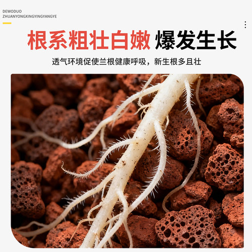 火山石颗粒兰花专用养花盆栽植物兰科蝴蝶兰铺面垫底植料原生岩石 - 图3