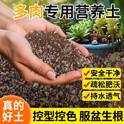 多肉专用颗粒土营养土植物盆栽泥炭土壤种植养花玉露仙人球铺面石 - 图1