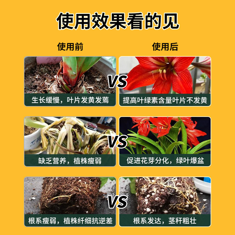 朱顶红肥料专用肥缓释肥重瓣种球植物促开花催花肥盆栽养护颗粒肥,淘宝优惠券,粉丝福利购,淘宝优惠卷