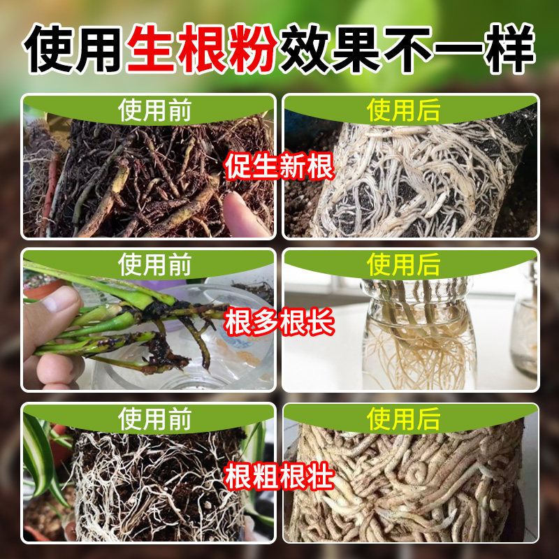 生根粉植物通用强力快速树木移栽官方旗舰店扦插专用花卉果树壮苗,淘宝优惠券,粉丝福利购,淘宝优惠卷