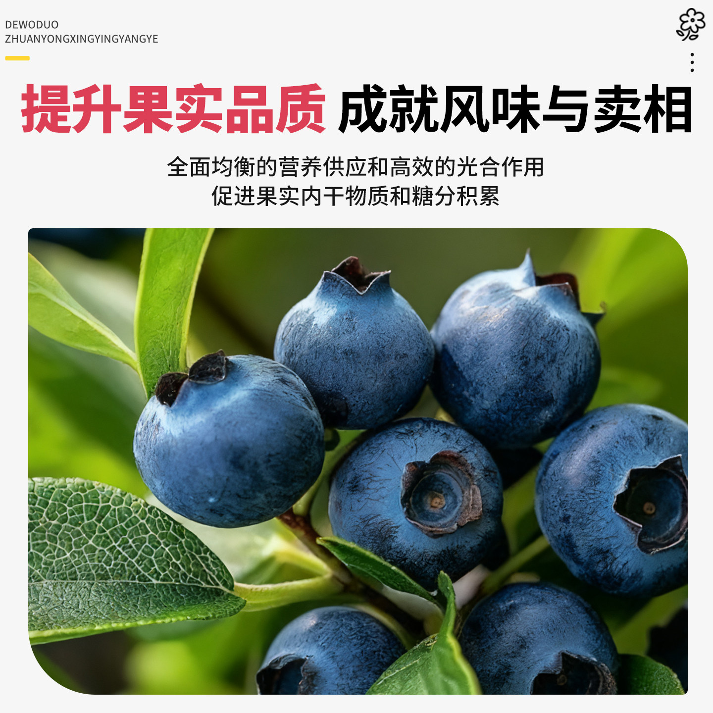 蓝莓专用鱼蛋白水溶肥膨果增甜氨基酸有机肥叶面肥料瓜果蔬营养液,淘宝优惠券,粉丝福利购,淘宝优惠卷