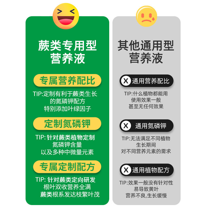 蕨类植物肥料专用肥营养液铁线蕨霸王蕨鹿角蕨狼尾蕨水培防枯黄叶,淘宝优惠券,粉丝福利购,淘宝优惠卷