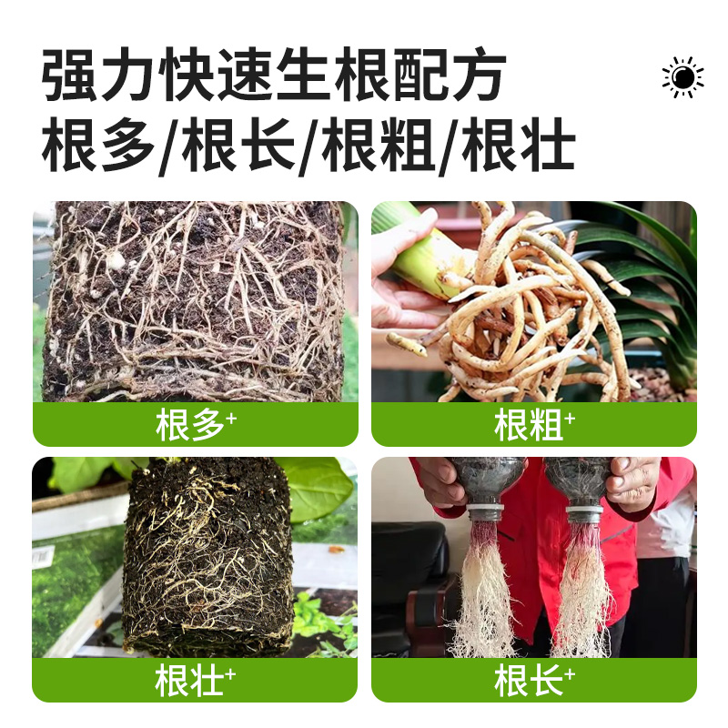 快速生根粉植物通用强力生根剂生根壮苗剂果树花卉扦插生根液药水 - 图3