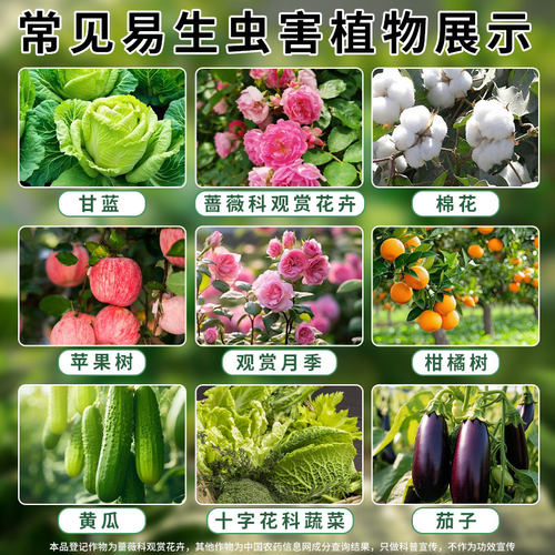 阿维菌素杀虫剂啶虫脒专用药月季花病虫害常用药红蜘蛛非虫卵双杀 - 图3