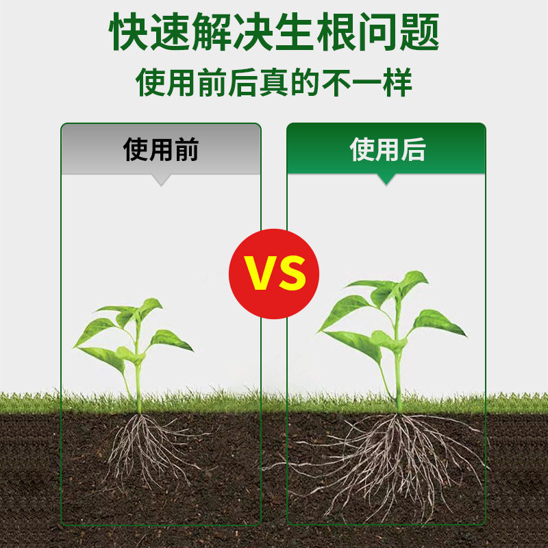快速生根液植物通用生根水扦插壮苗强力生根粉多肉扦插专用生根剂_虎窝淘