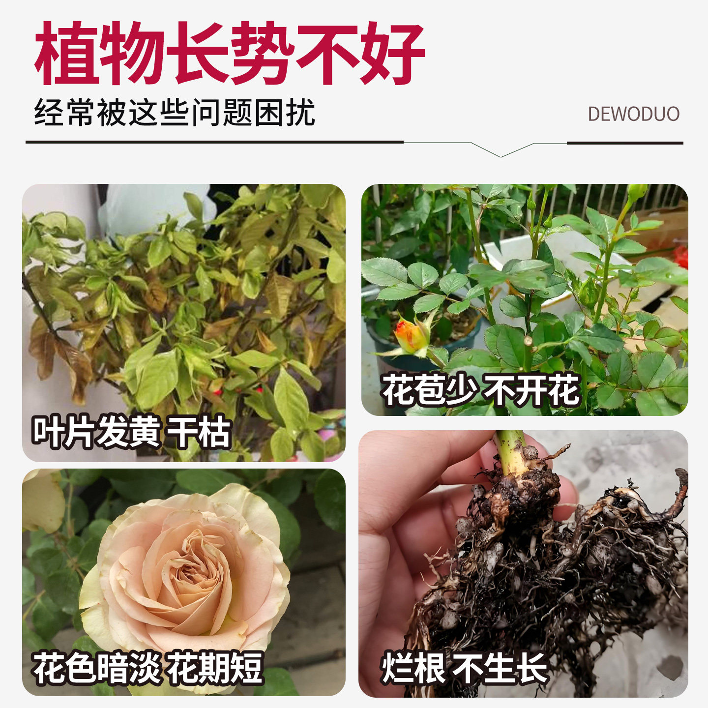 适合各种花的营养液盆栽花卉植物营养液室内通用花肥水溶性复合肥,淘宝优惠券,粉丝福利购,淘宝优惠卷