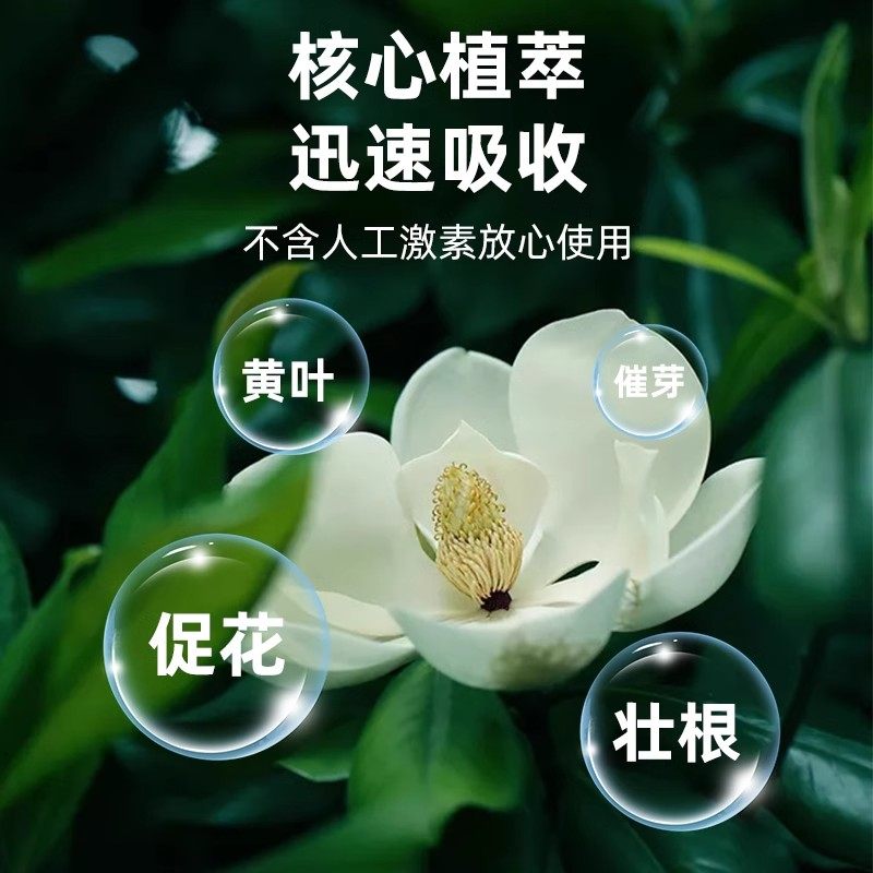 兰花多箭素爆芽素兰科植物通用营养液兰灵王蝴蝶兰多剑促花箭花肥,淘宝优惠券,粉丝福利购,淘宝优惠卷