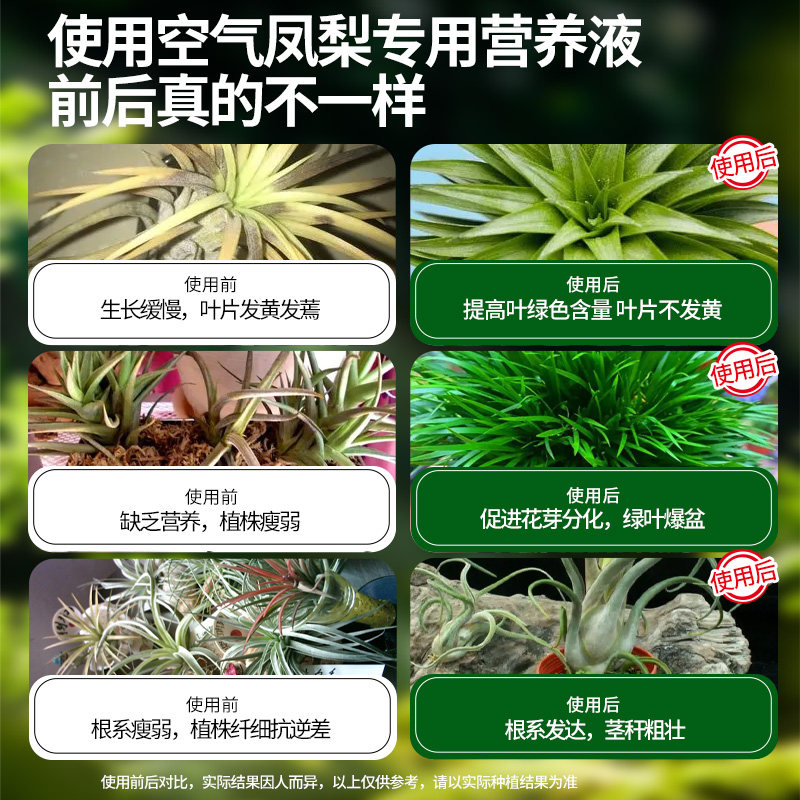 空气凤梨肥料专用肥营养液室内绿植叶子干枯落叶掉叶急救花肥通用,淘宝优惠券,粉丝福利购,淘宝优惠卷
