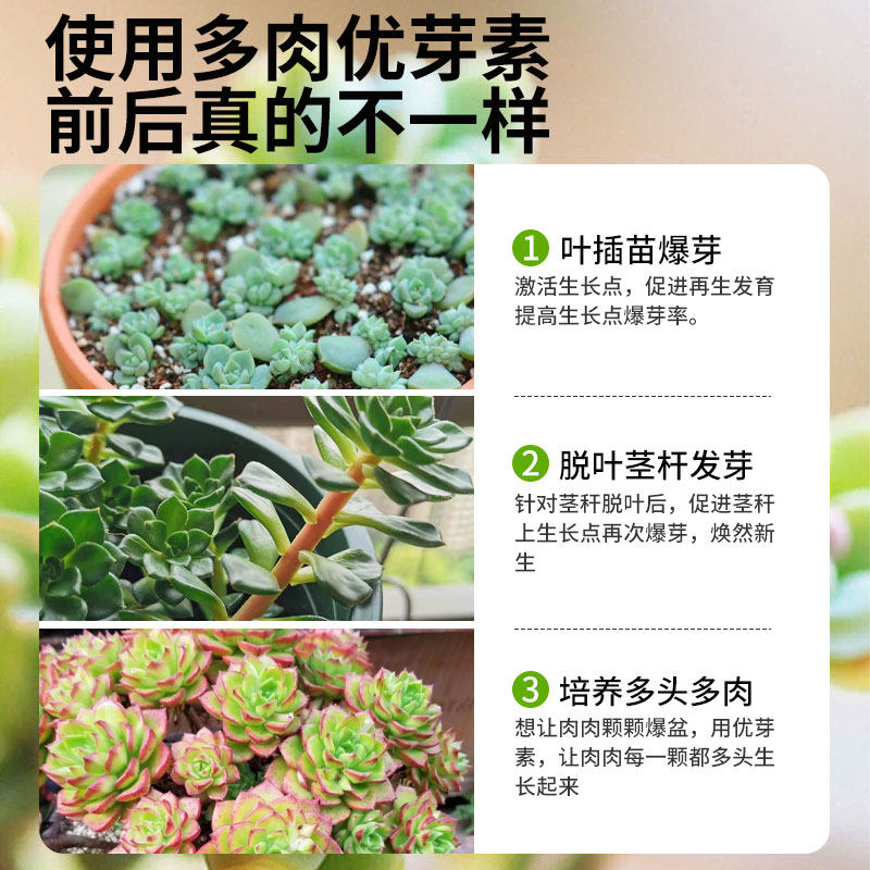 优芽素多肉专用肥营养液肥料促芽生根爆芽素矮胖素三角梅植物通用,淘宝优惠券,粉丝福利购,淘宝优惠卷