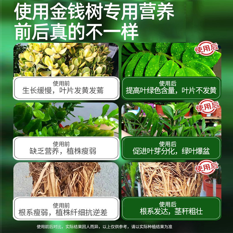 金钱树营养液肥料专用肥黄叶烂根室内盆栽植物通用发财树叶面花肥,淘宝优惠券,粉丝福利购,淘宝优惠卷