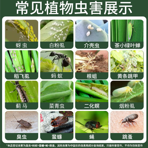 花卉植物杀虫剂通用呋虫胺花药蚜虫蚧壳虫室内多肉月季蔬菜专用药 - 图3