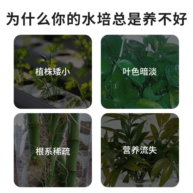 水培植物营养液肥料专用肥家用盆栽水养富贵竹碗莲种球通用水溶肥,淘宝优惠券,粉丝福利购,淘宝优惠卷