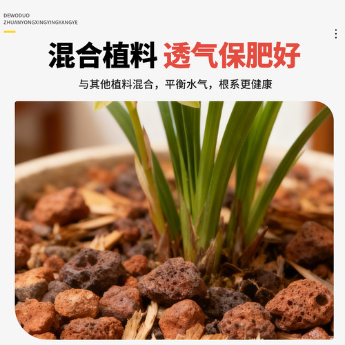 火山石颗粒兰花专用养花盆栽植物兰科蝴蝶兰铺面垫底植料原生岩石 - 图1