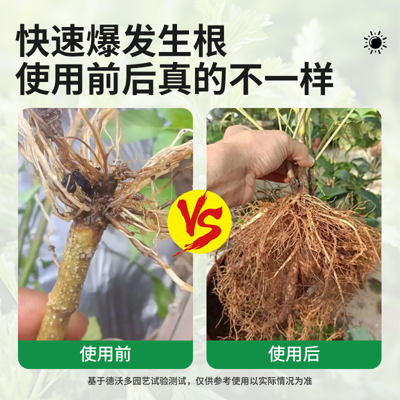 快速生根粉植物通用强力生根剂生根壮苗剂果树花卉扦插生根液药水 - 图0