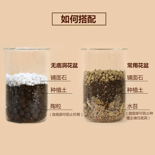 铺面石通用型多肉植物颗粒拌土盆栽垫底透气陶粒麦饭石火山岩蛭石 - 图1