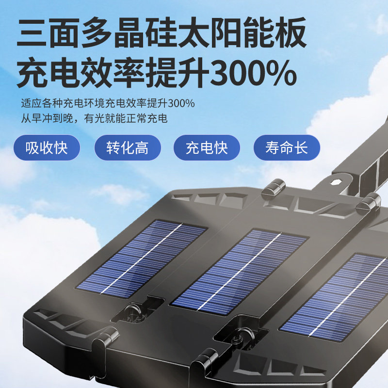  雷迪朗灯具景观庭院灯饰