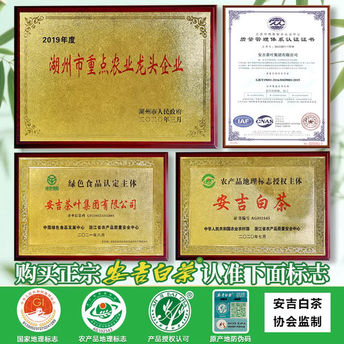 2026新茶竹乡安吉白茶明前特级500g罐装礼盒官方旗舰店正品绿茶叶 - 图0
