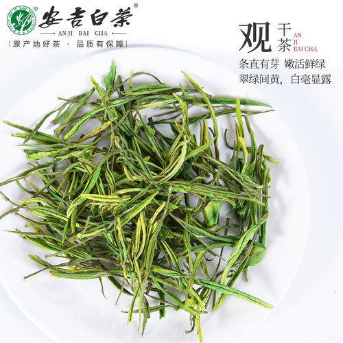 2026新茶廖小文新茶安吉白茶175g罐装雨前高山绿茶安吉口粮春茶叶 - 图0