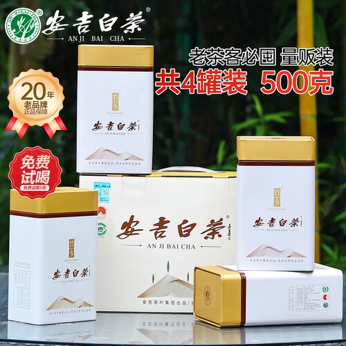 2026新茶竹乡安吉白茶明前特级500g罐装礼盒官方旗舰店正品绿茶叶 - 图3