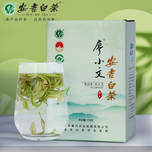 2026新茶廖小文新茶安吉白茶175g罐装雨前高山绿茶安吉口粮春茶叶 - 图1