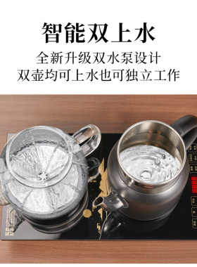 容声双壶蒸茶烧水壶全自动上水壶