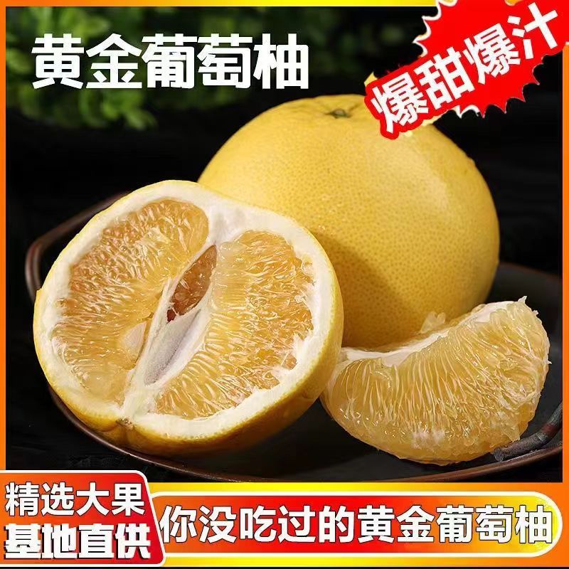 福建葡萄柚子新鲜水果黄金蜜柚批发当季现摘现发5斤大果送礼礼盒